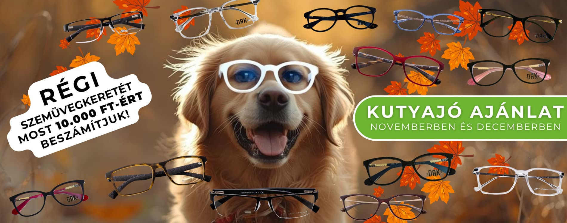 🐾 Kutyajó ajánlat novemberben és decemberben – Most szemüvegkeretét 10.000 Ft-ért beszámítjuk!